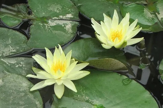 体彩排列五 背景图